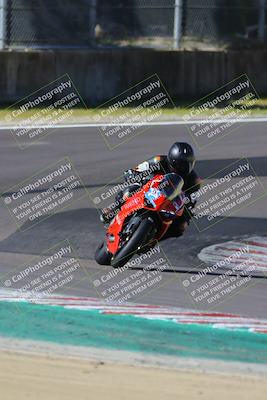 media/Mar-17-2024-Fastrack Riders (Sun) [[c7d6f8c14c]]/Level 2/Turn 6/